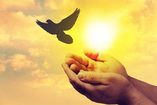 Een stockfoto die symboliseert: Scheiden: &ldquo;Ik moet onverliefd worden&rdquo; &ndash; Hoe doe ik dat?